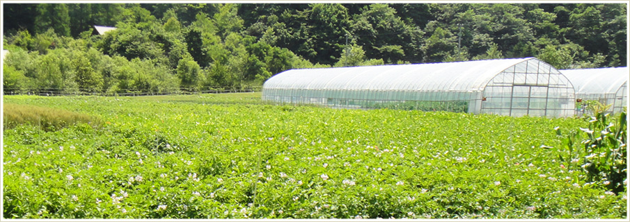 植物防疫協会TOPページ