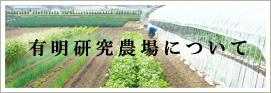有明研究農場について
